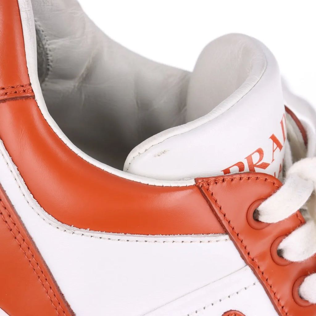 Prada Downtown Leather Sneaker Brown x White