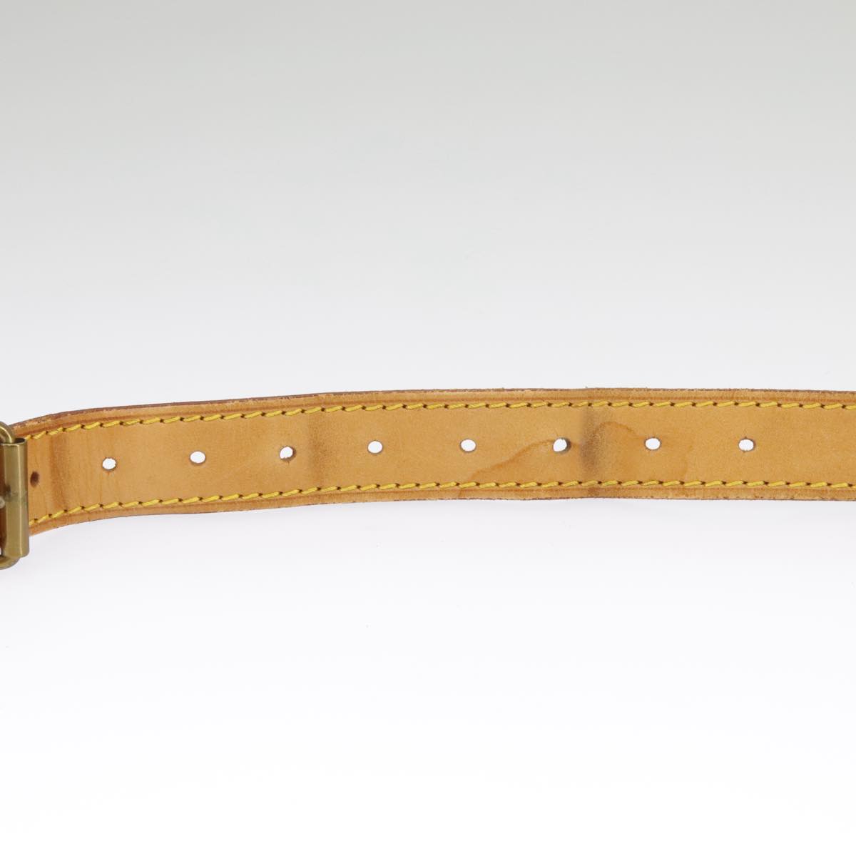 Louis Vuitton Shoulder strap