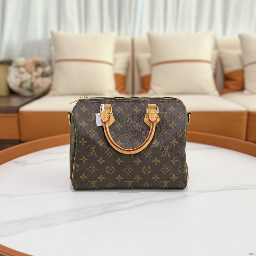 LOUIS VUITTON Speedy Bandoulière 25 Damier Ebene Canvas