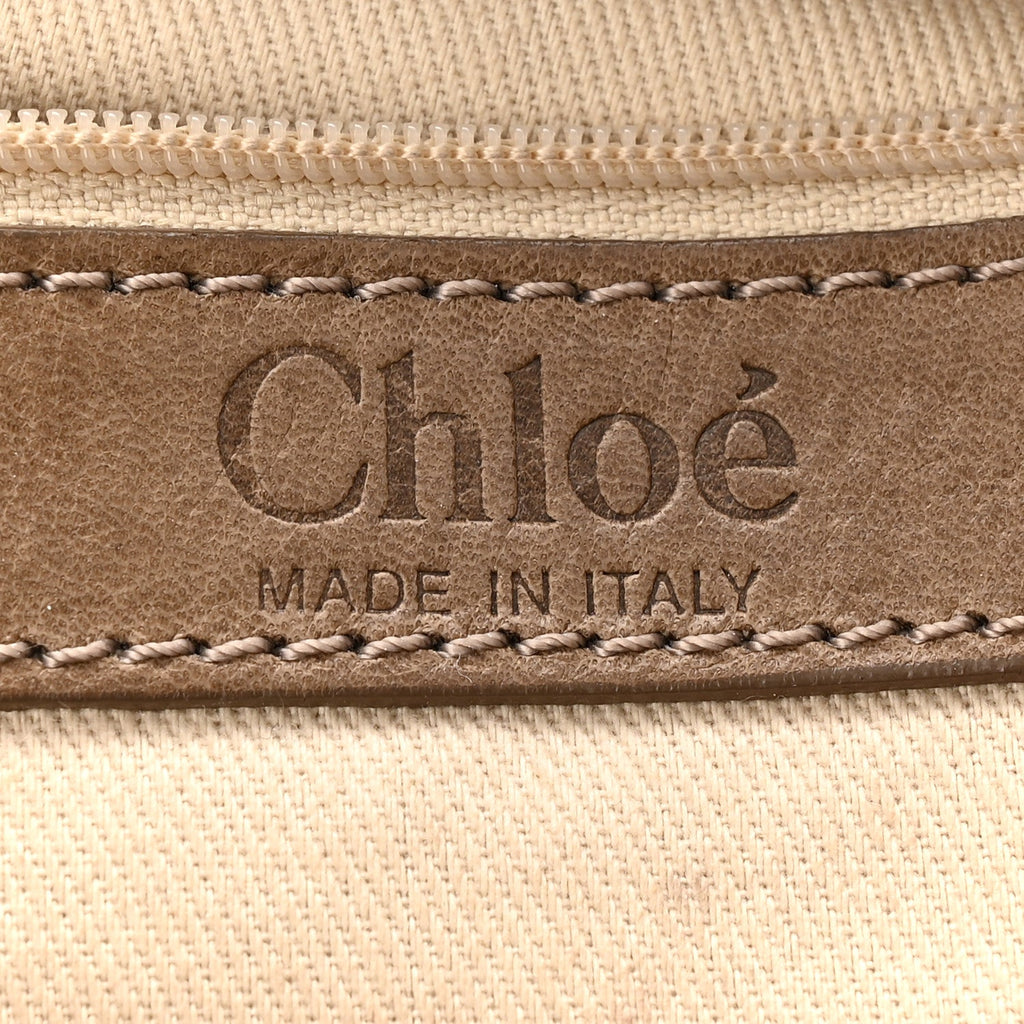 Snakeskin Calfskin Silverado Shoulder Bag Beige