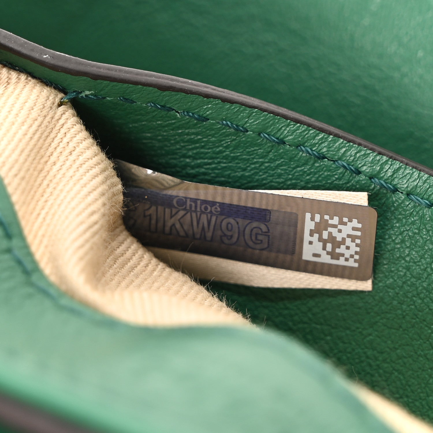 Calfskin Crocodile Embossed Mini C Double Carry Woodsy Green