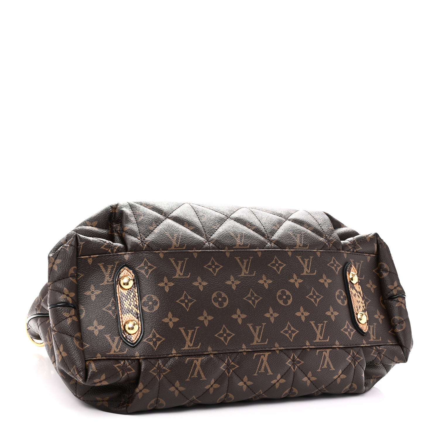 Monogram Etoile Exotique MM
