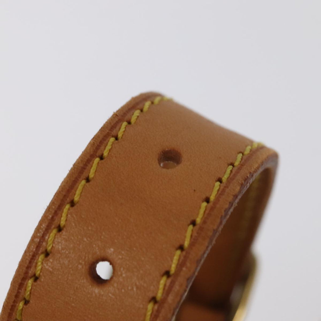 Louis Vuitton Shoulder strap