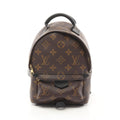 Louis Vuitton Palm Springs Mini Monogram Coated Canvas Backpack