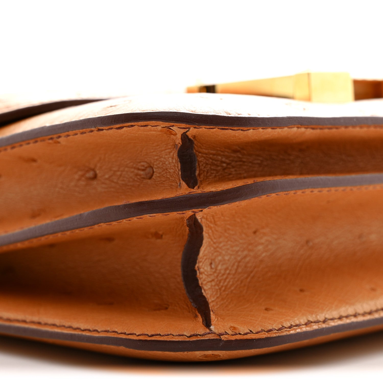 Ostrich Constance 18 Safran