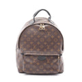 Louis Vuitton Palm Springs Monogram Coated Canvas Backpack