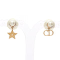 Dior Tribales CD Logo Earrings