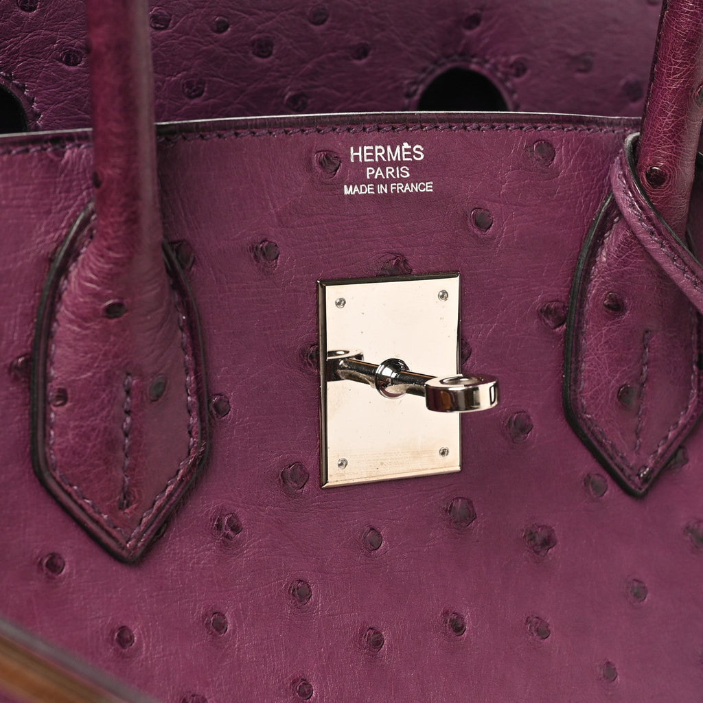 Ostrich Birkin 30 Violine