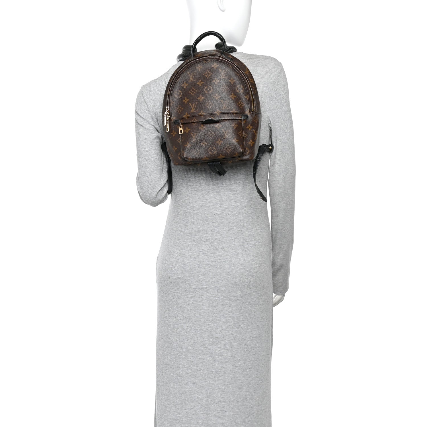 Monogram Palm Springs Backpack PM