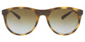 Emporio Armani Havana/Silver Round EA4084 5089T5 Sunglasses