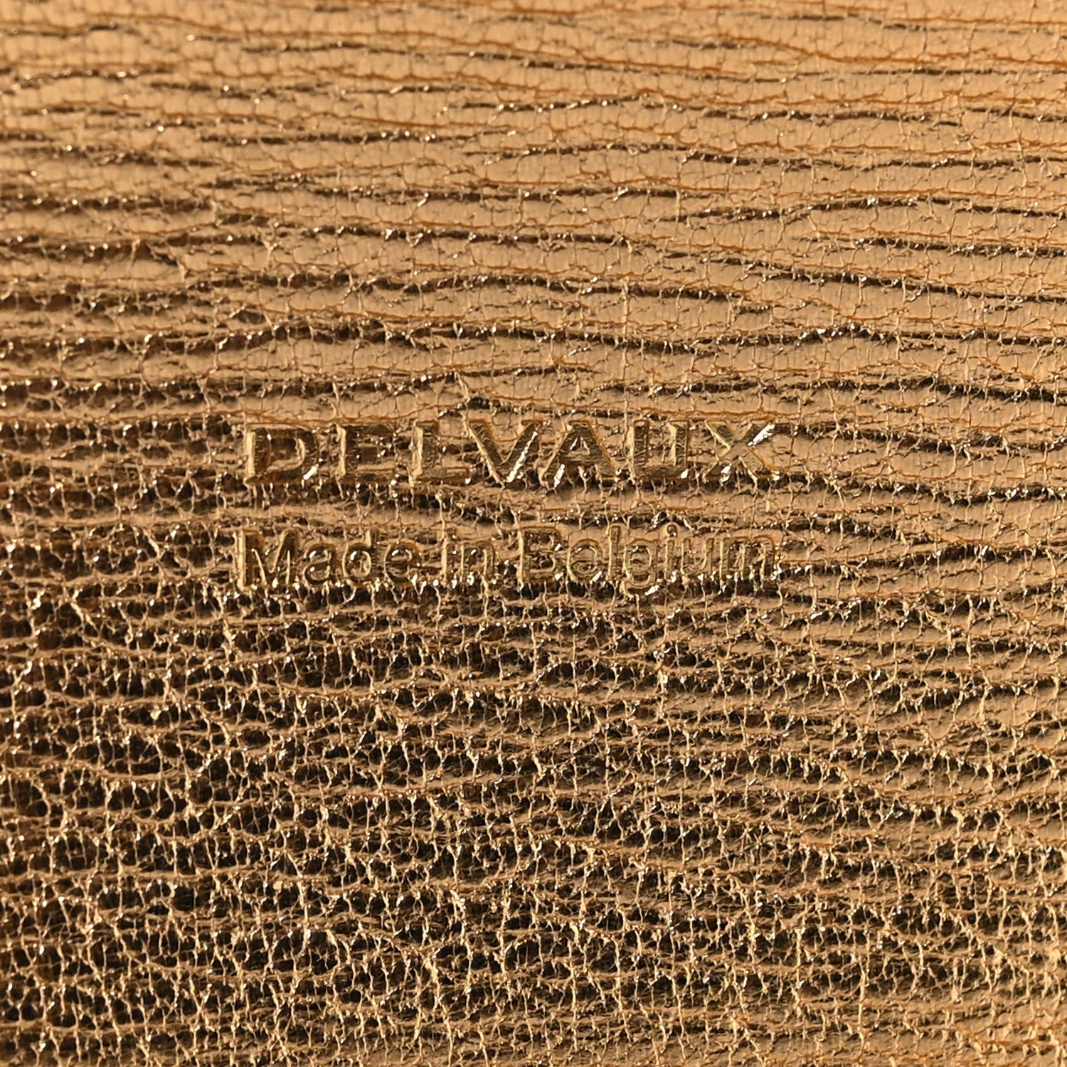 Metallic Rodeo Calfskin Brillant Wallet On Chain Satin Gold