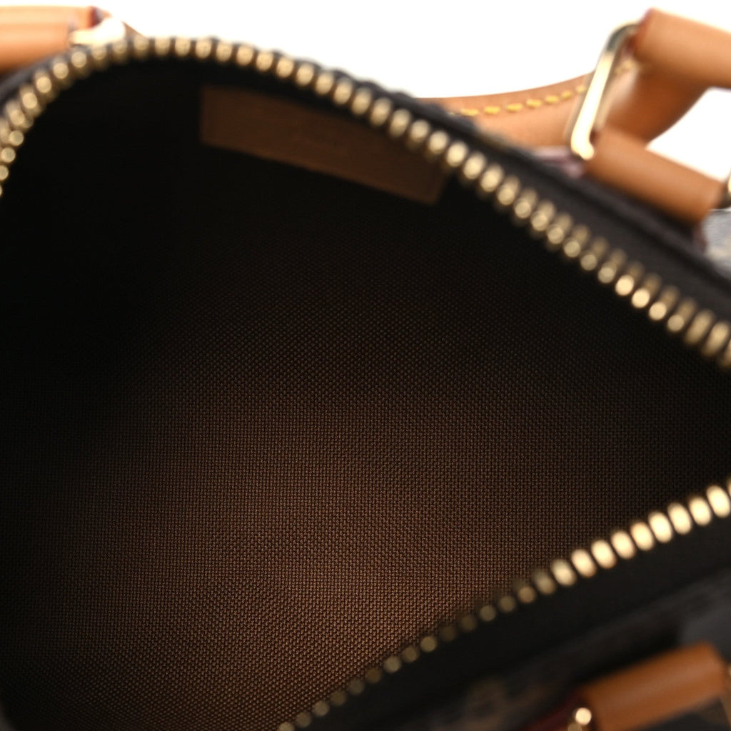 Monogram Nano Speedy Bandouliere