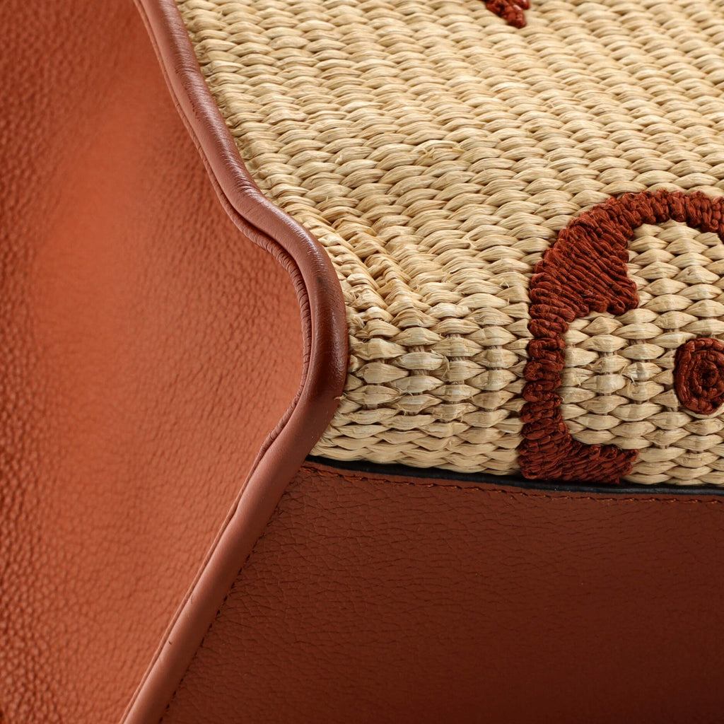 Louis Vuitton OnTheGo Tote Monogram Giant Raffia GM