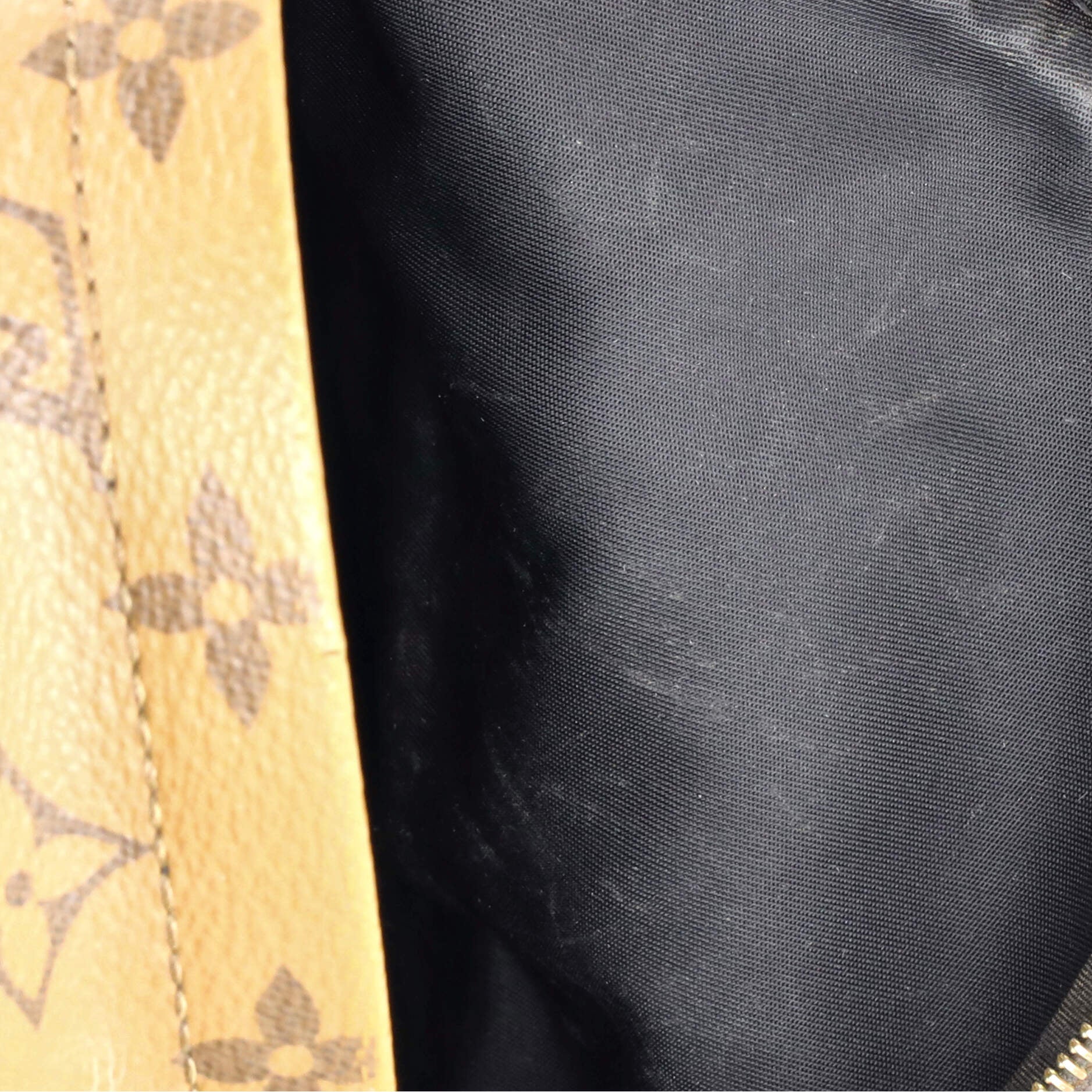 Louis Vuitton Palm Springs Backpack Reverse Monogram Canvas Mini