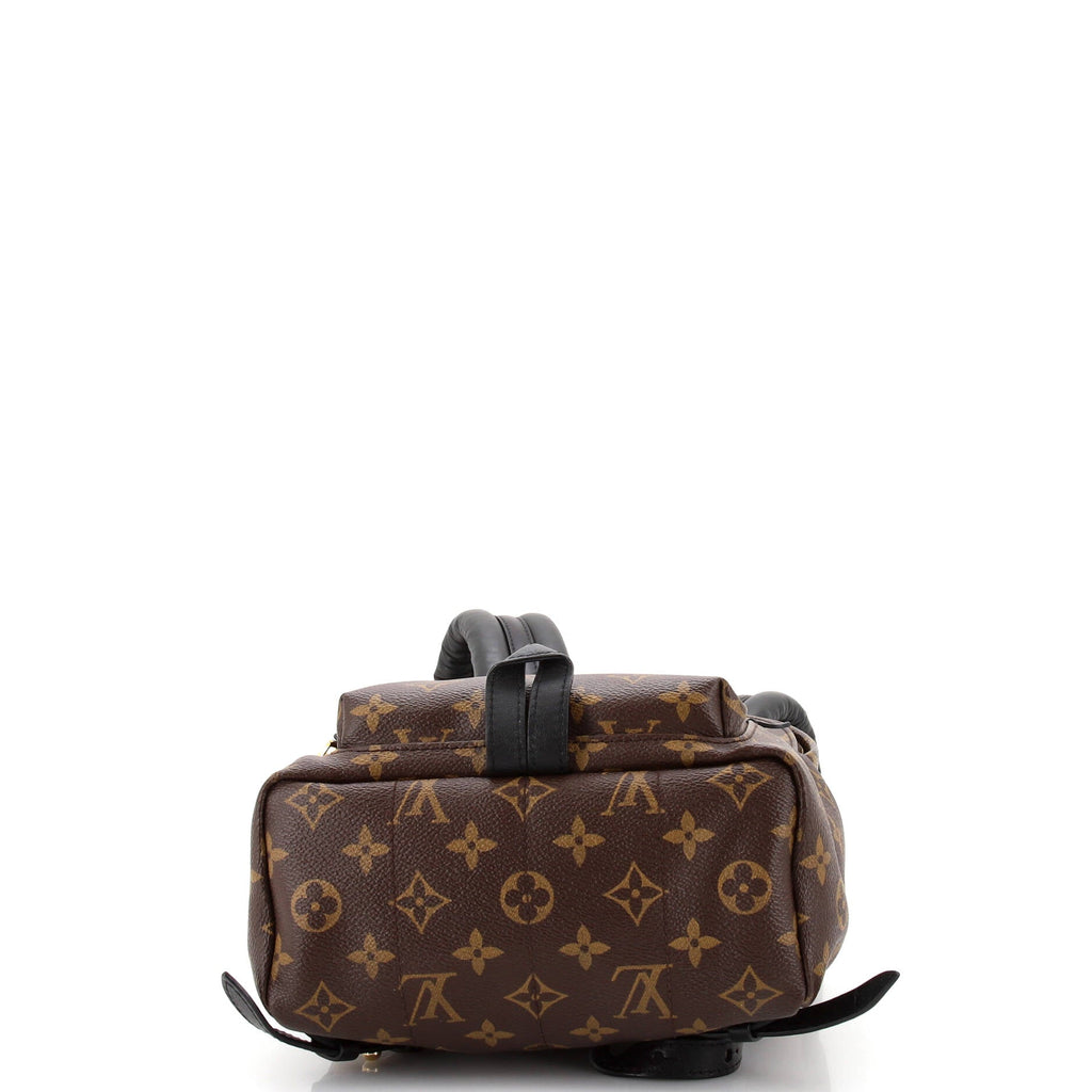 Louis Vuitton Palm Springs Backpack Monogram Canvas PM