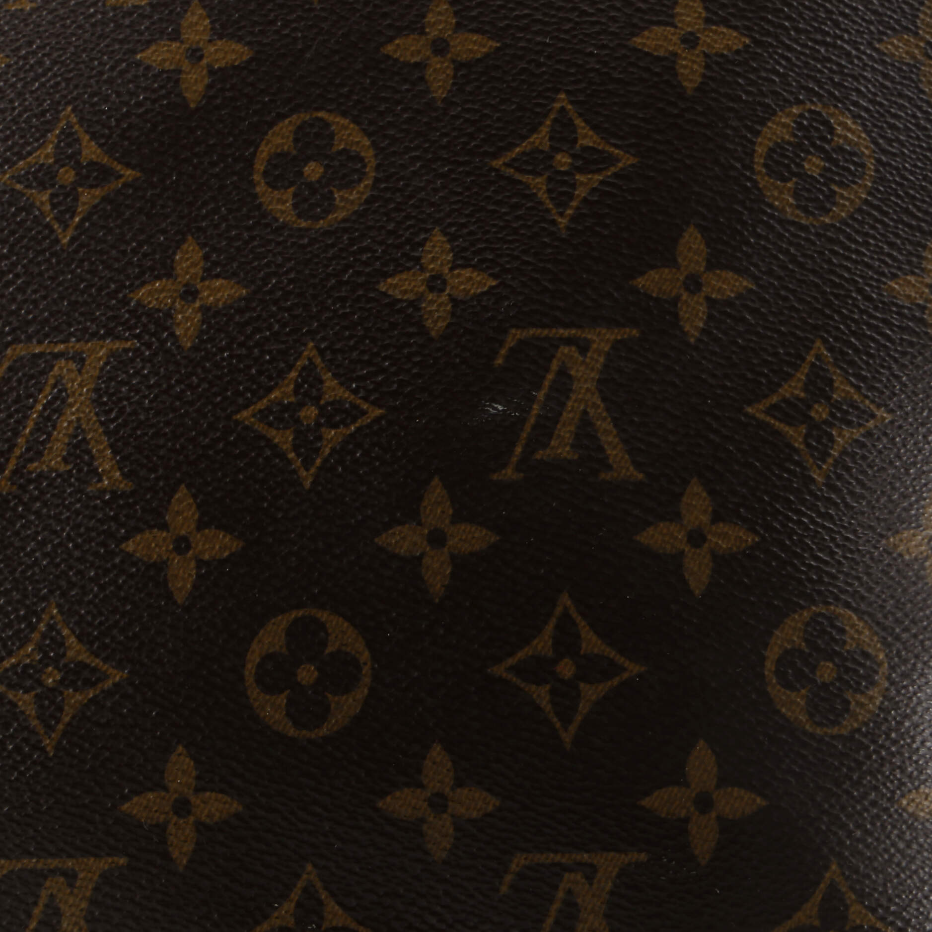 Louis Vuitton Carry It Tote Monogram Canvas