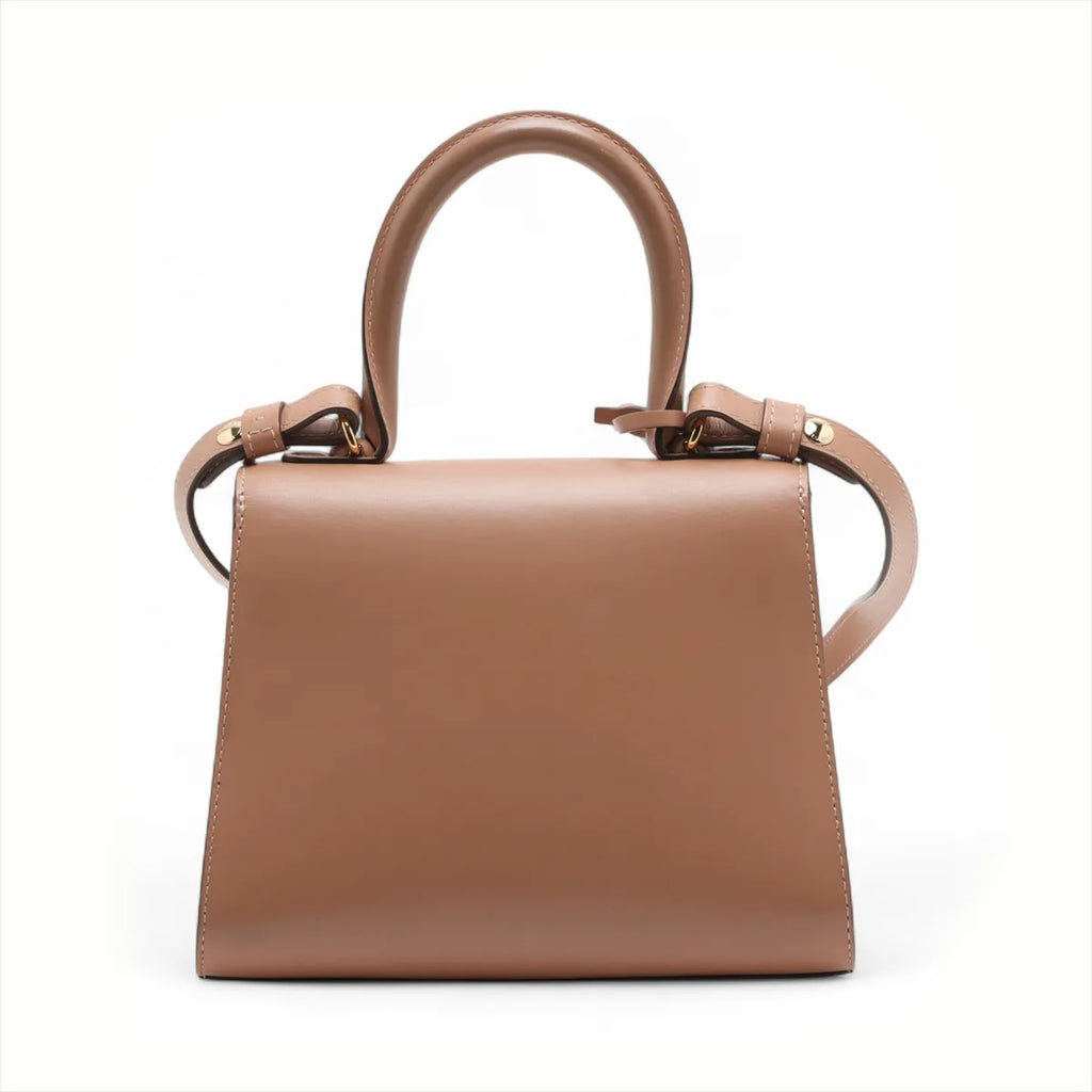 Delvaux Brillant Mini Leather Two-Way Handbag Pink