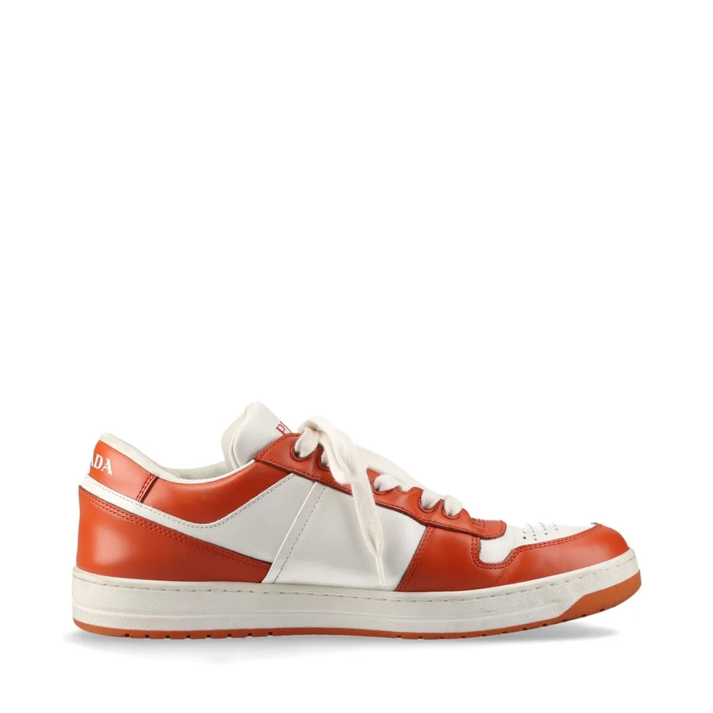 Prada Downtown Leather Sneaker Brown x White