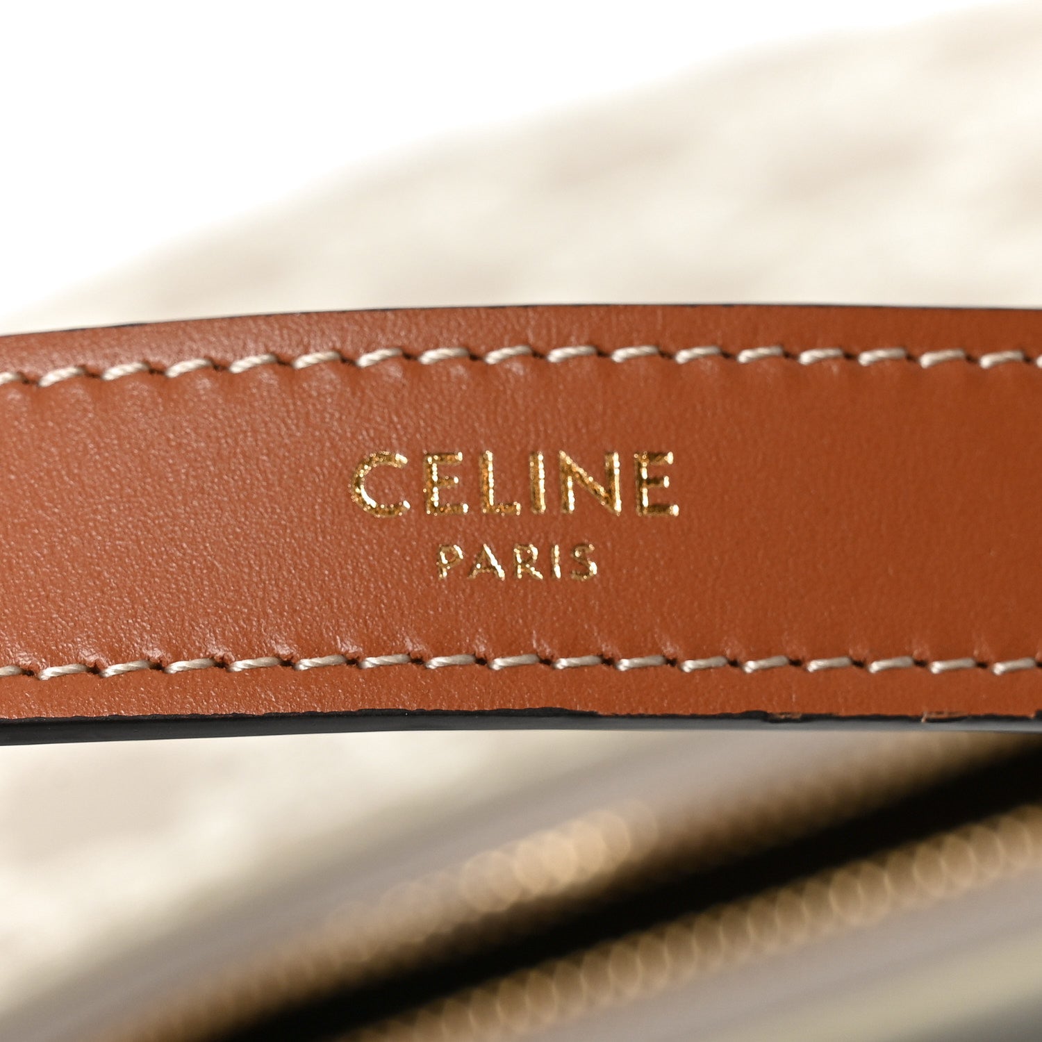 Canvas Calfskin Ava Triomphe Shoulder Bag Grege