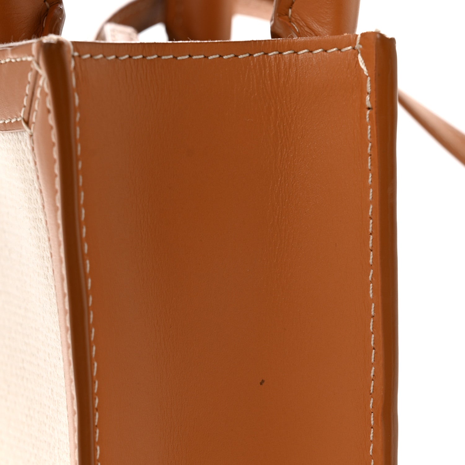 Canvas Calfskin Mini Vertical Cabas Natural Tan
