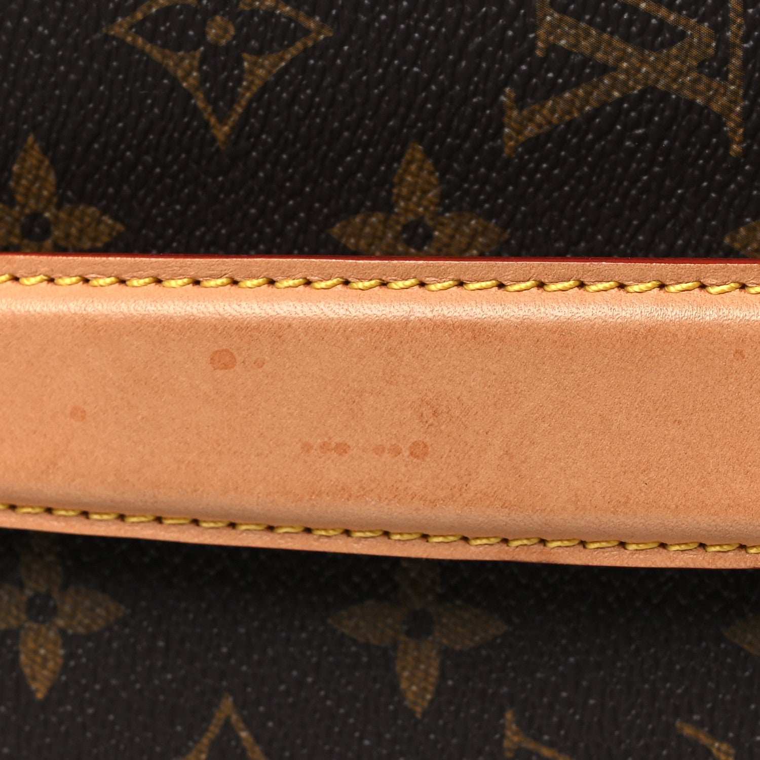Monogram Pegase Legere 55