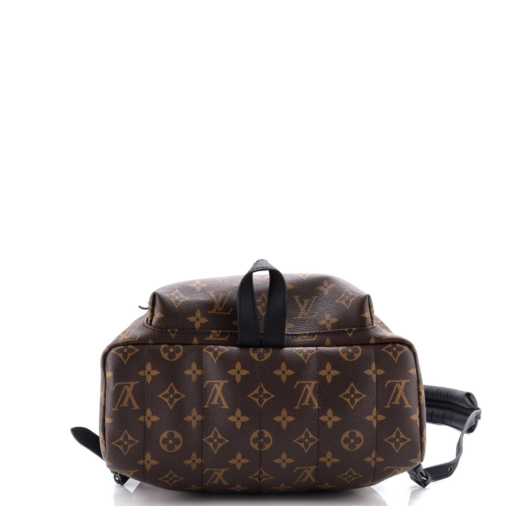 Louis Vuitton Palm Springs Backpack Monogram Canvas MM
