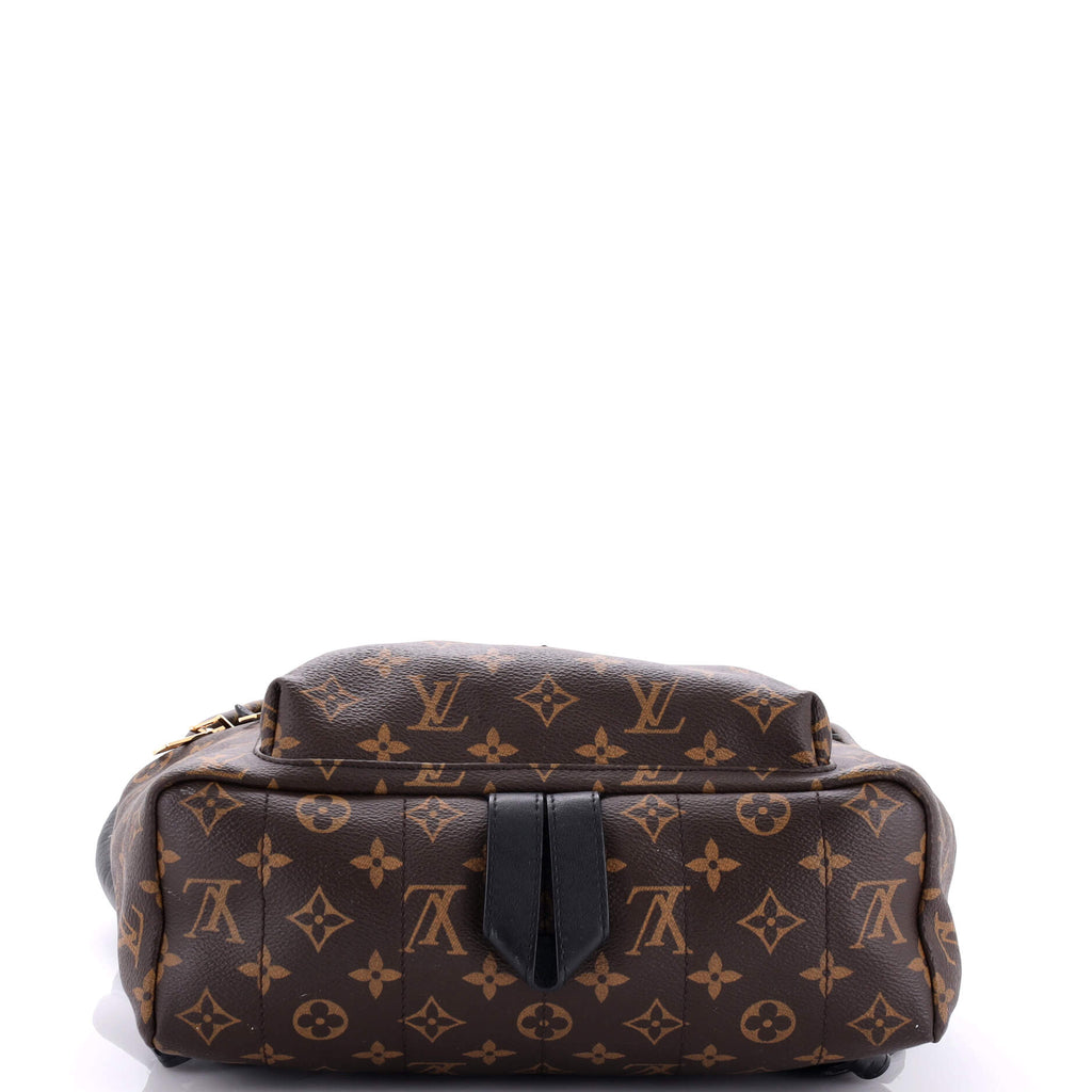 Louis Vuitton Palm Springs Backpack Monogram Canvas MM