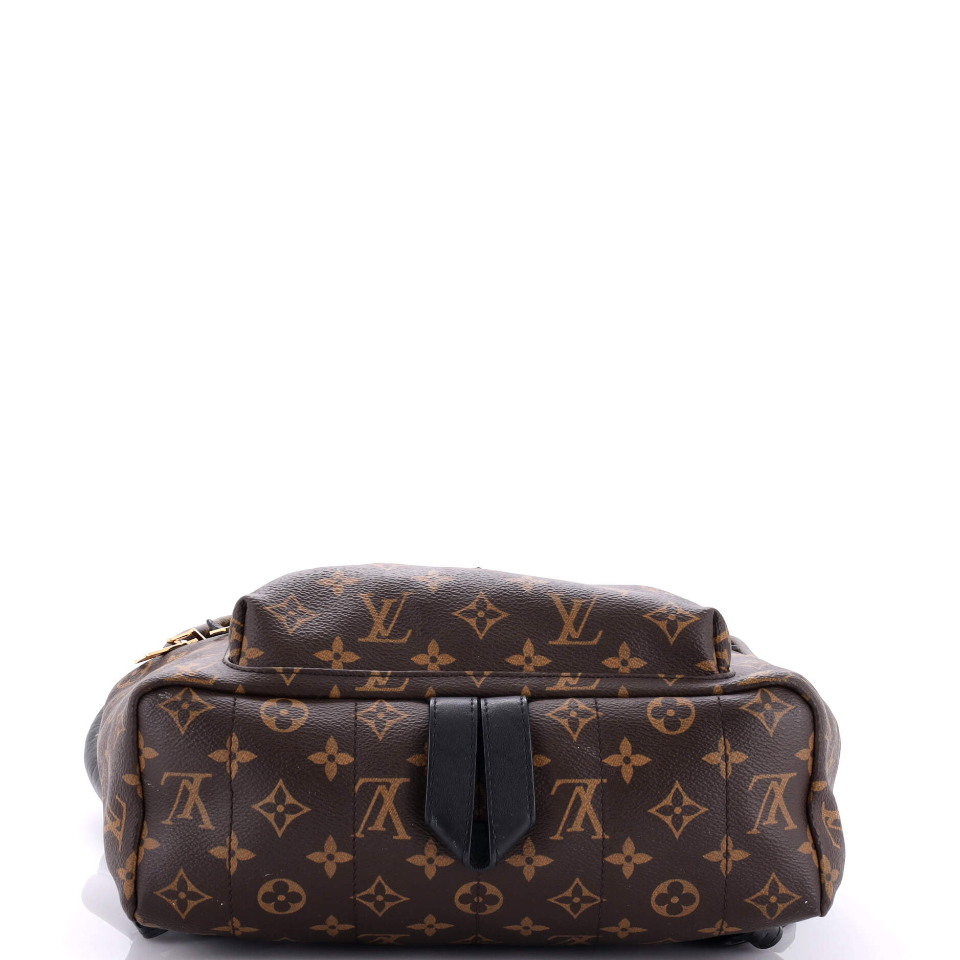Louis Vuitton Palm Springs Backpack Monogram Canvas MM