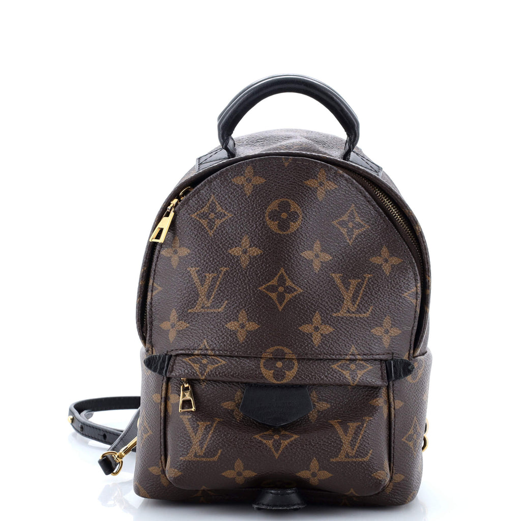Louis Vuitton Palm Springs Backpack Monogram Canvas Mini