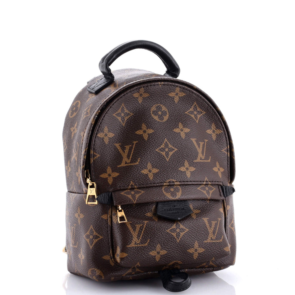 Louis Vuitton Palm Springs Backpack Monogram Canvas Mini