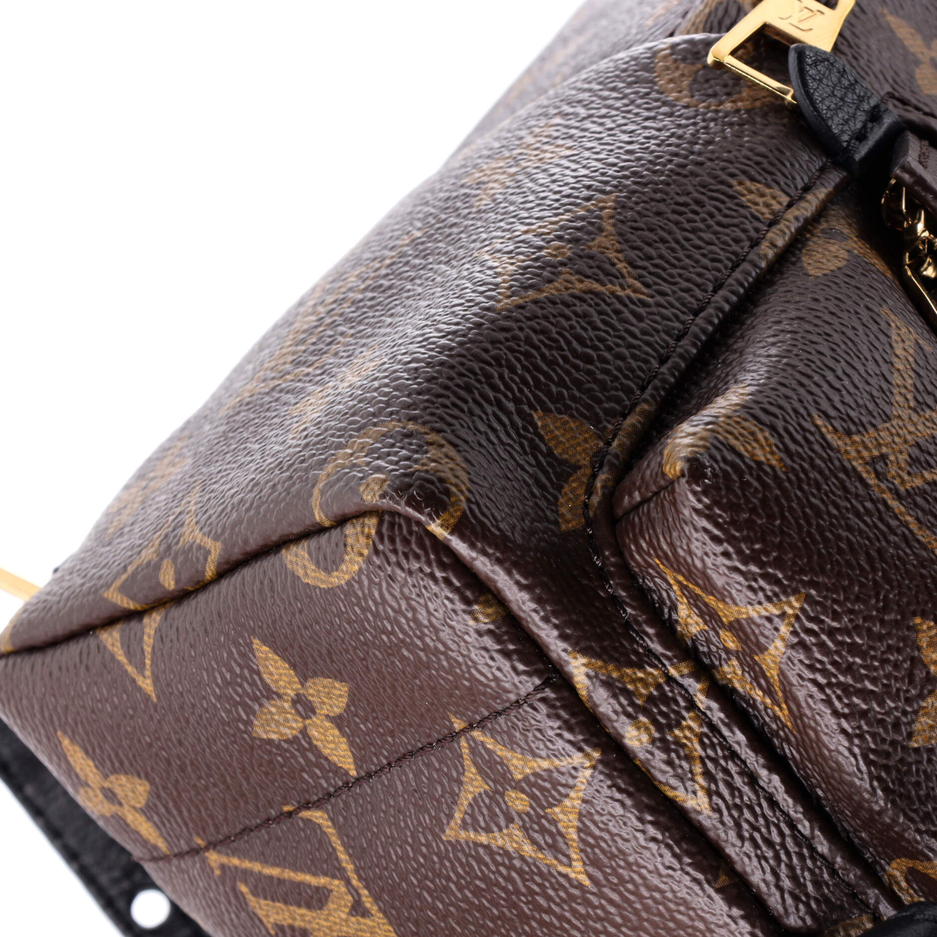 Louis Vuitton Palm Springs Backpack Monogram Canvas Mini