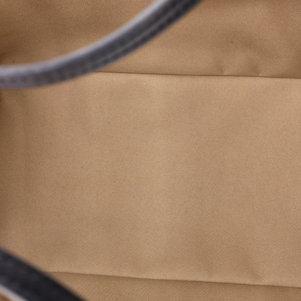 Louis Vuitton Neverfull NM Tote By The Pool Monogram Raffia MM
