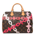 Monogram Roses Speedy 30