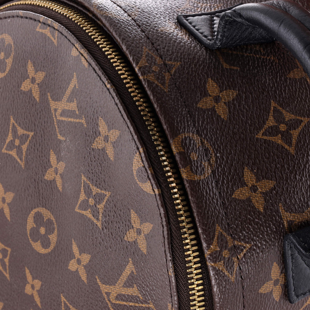 Louis Vuitton Palm Springs Backpack Monogram Canvas PM