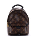 Louis Vuitton Palm Springs Backpack Monogram Canvas Mini