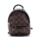 Louis Vuitton Palm Springs Backpack Monogram Canvas Mini