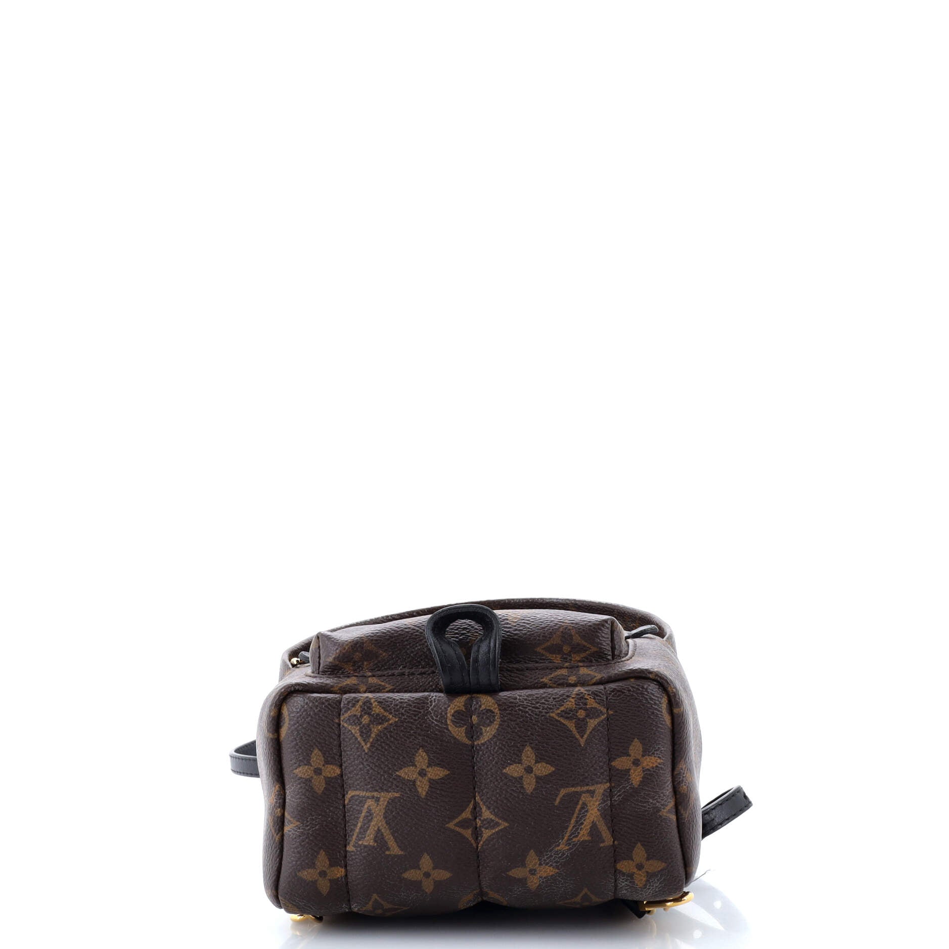 Louis Vuitton Palm Springs Backpack Monogram Canvas Mini