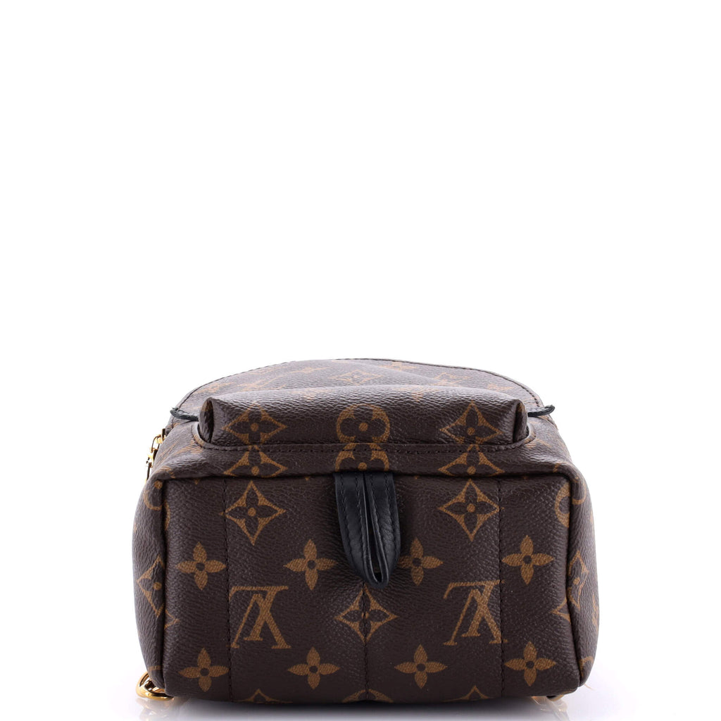 Louis Vuitton Palm Springs Backpack Monogram Canvas Mini