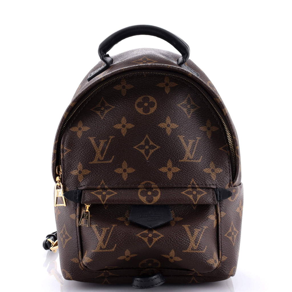 Louis Vuitton Palm Springs Backpack Monogram Canvas Mini