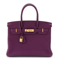 Togo Birkin 30 Anemone