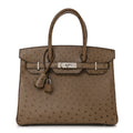 Ostrich Birkin 30 Mousse
