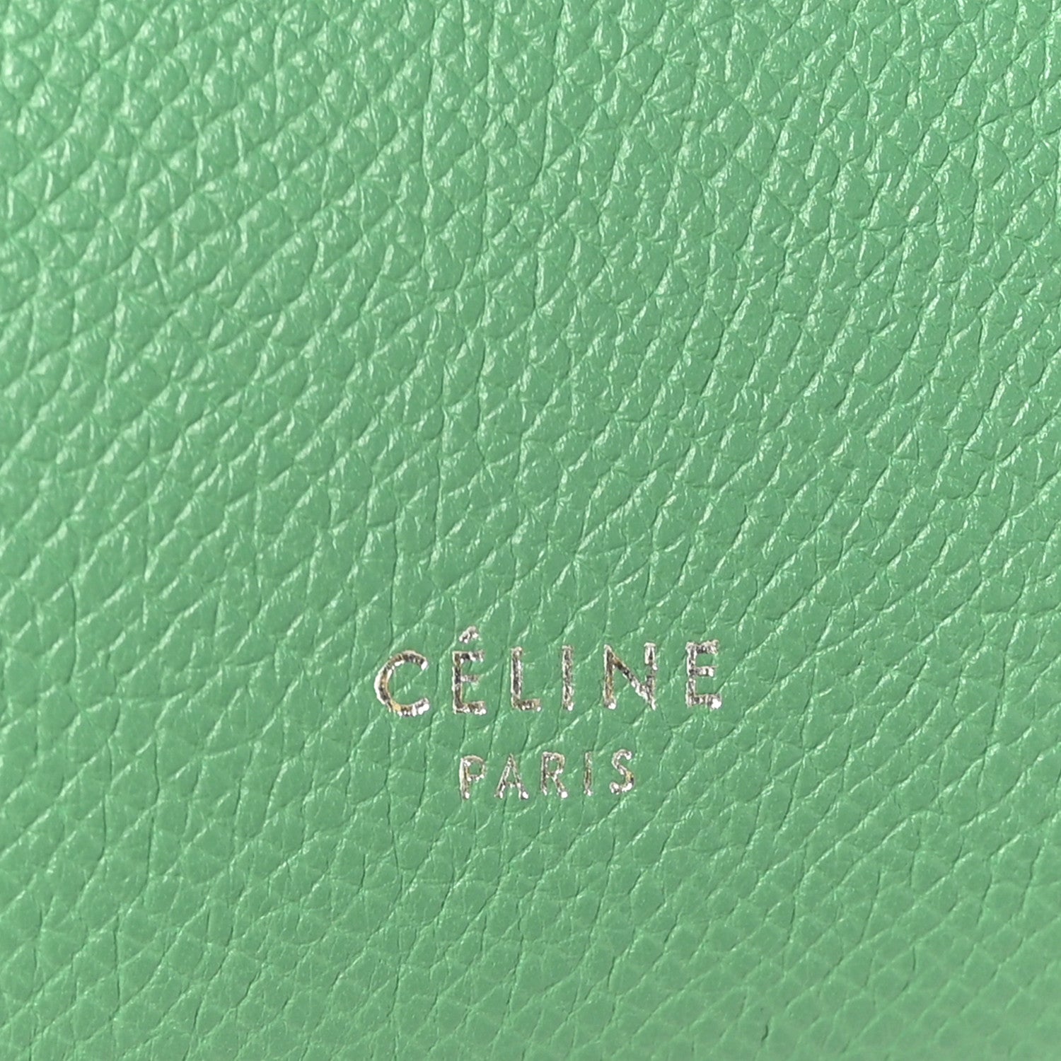 Grained Calfskin Micro Belt Bag Pop Green