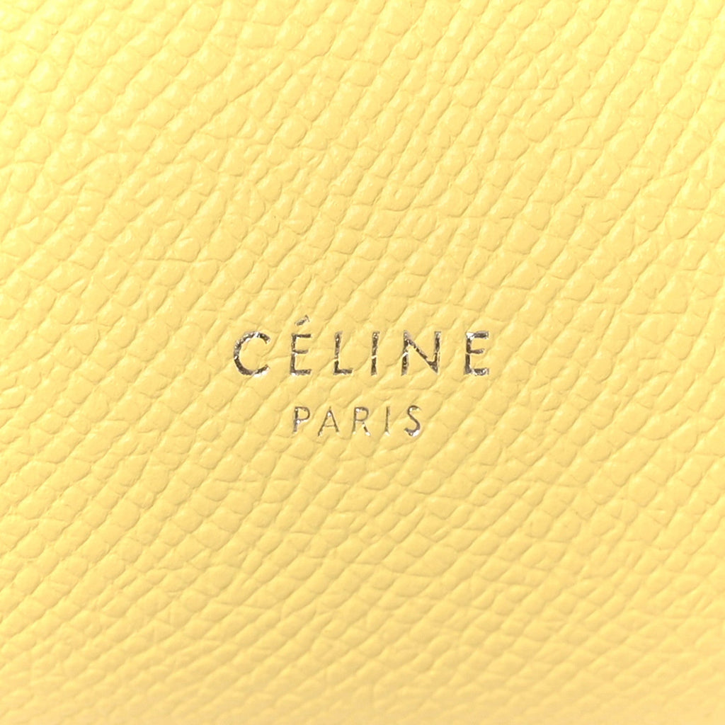 Grained Calfskin Nano Belt Bag Citrus