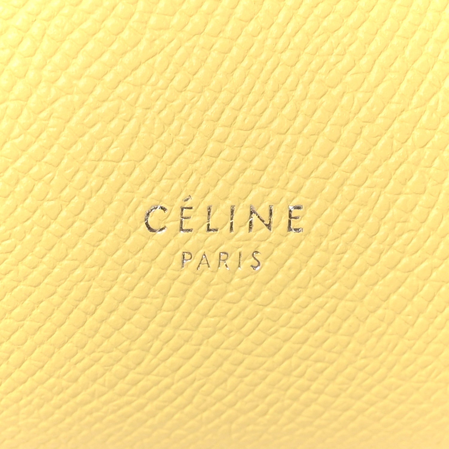 Grained Calfskin Nano Belt Bag Citrus