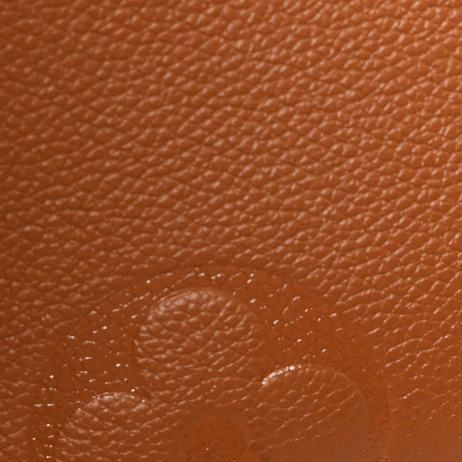 Empreinte Monogram Giant Wild At Heart Onthego MM Caramel