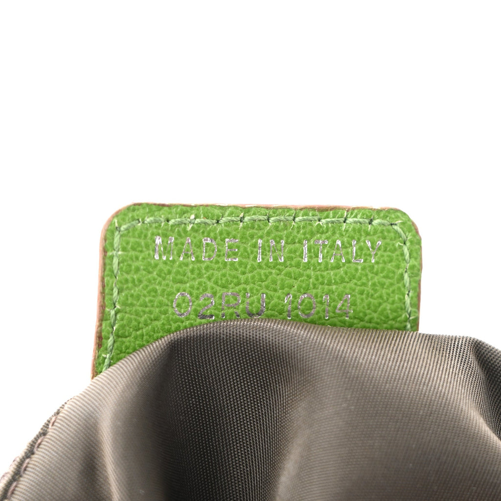 Monogram Rasta Saddle Pochette Beige