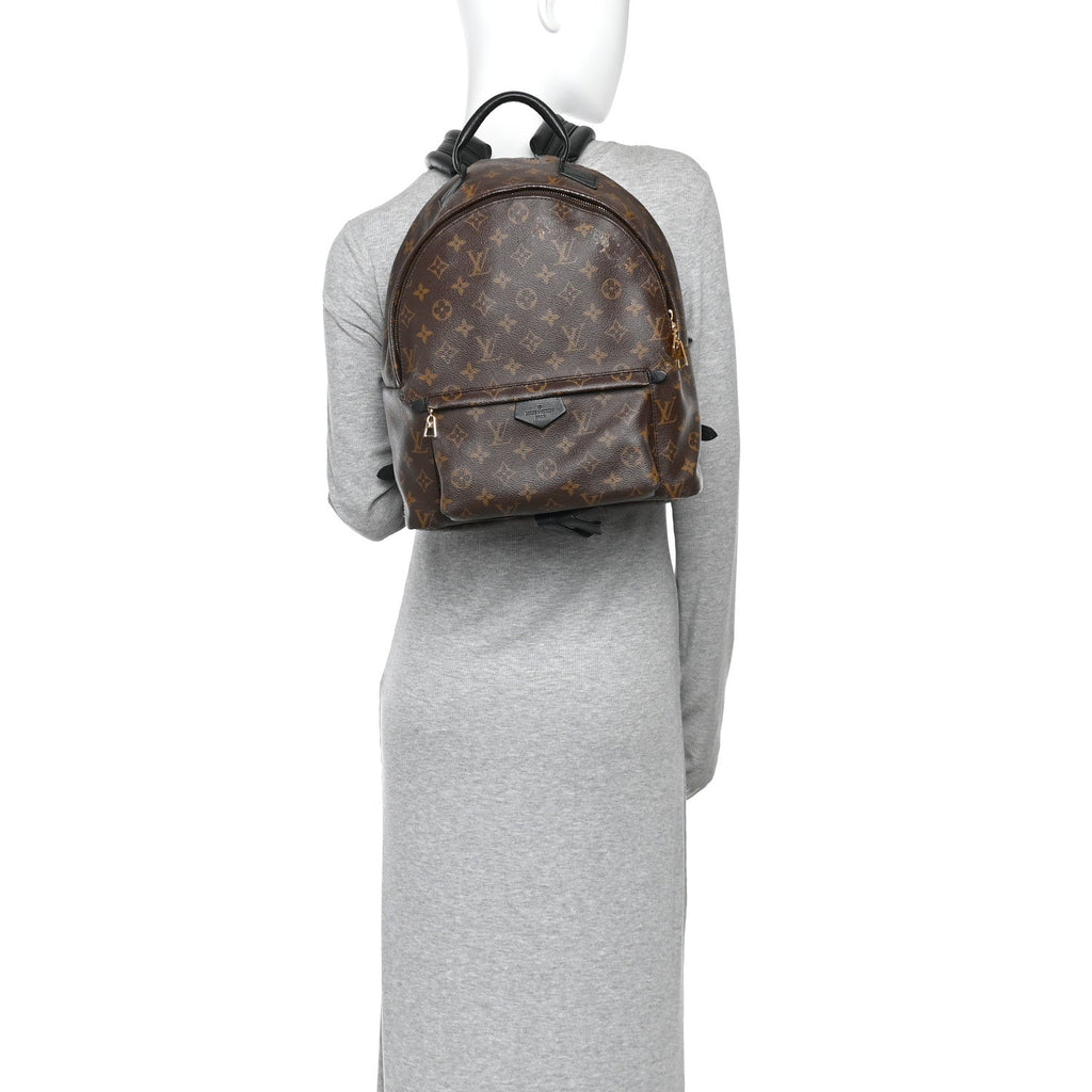 Monogram Palm Springs Backpack MM