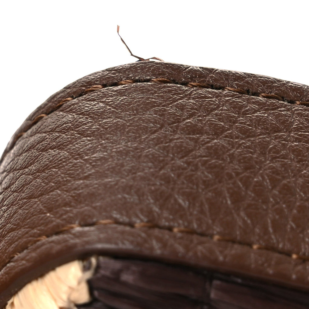 Woven Fabric Calfskin Embroidered Nano Maxi Buckle Baguette Charm Natural Gianduia