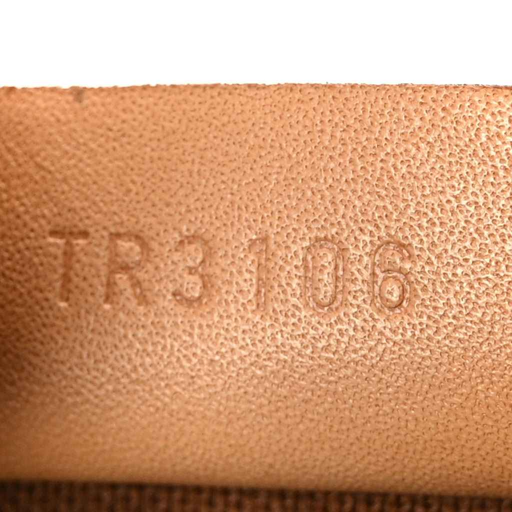 Monogram Nano Speedy