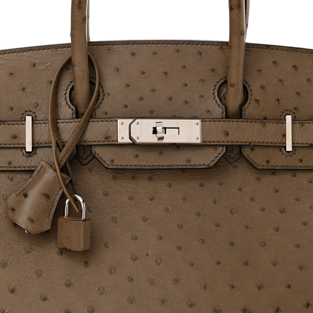 Ostrich Birkin 30 Mousse